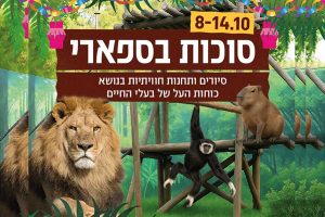 אריה בספארי