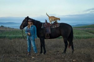 אישה וחתול על סוס