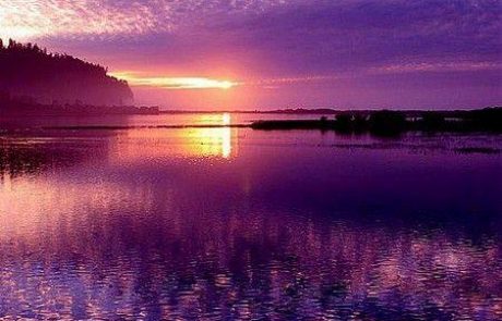 באתי מכל ה"יש "…