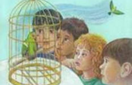"מאיירים בהשראת אצבעוני – כי כולנו ילדים"