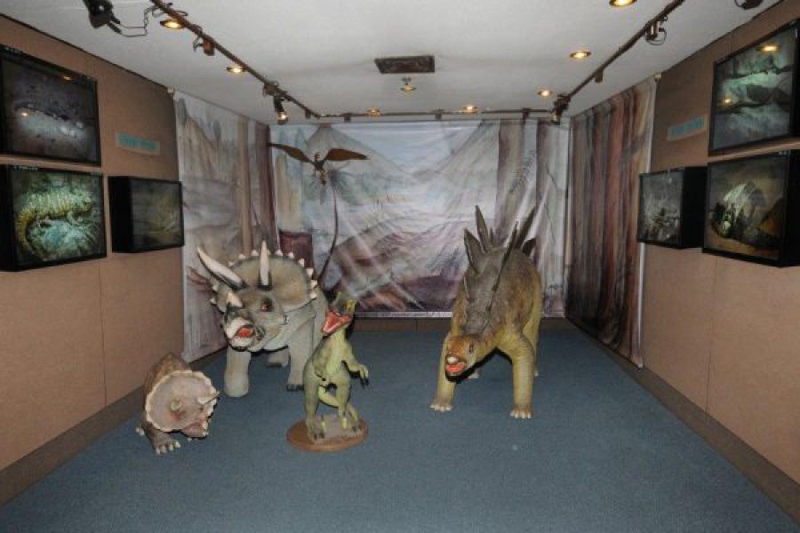 דינוזאורים במוזיאון האדם והחי תמונה קלה צלם יקי אקרמן (11)