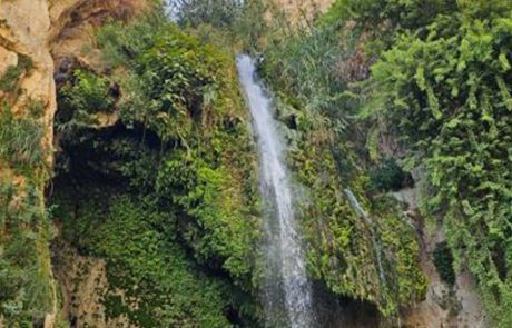 לקראת סוכות, חוזרים לעין גדי: כל מסלולי הטיול צפויים להיפתח,  לאחר השיטפון שפקד את השמורה
