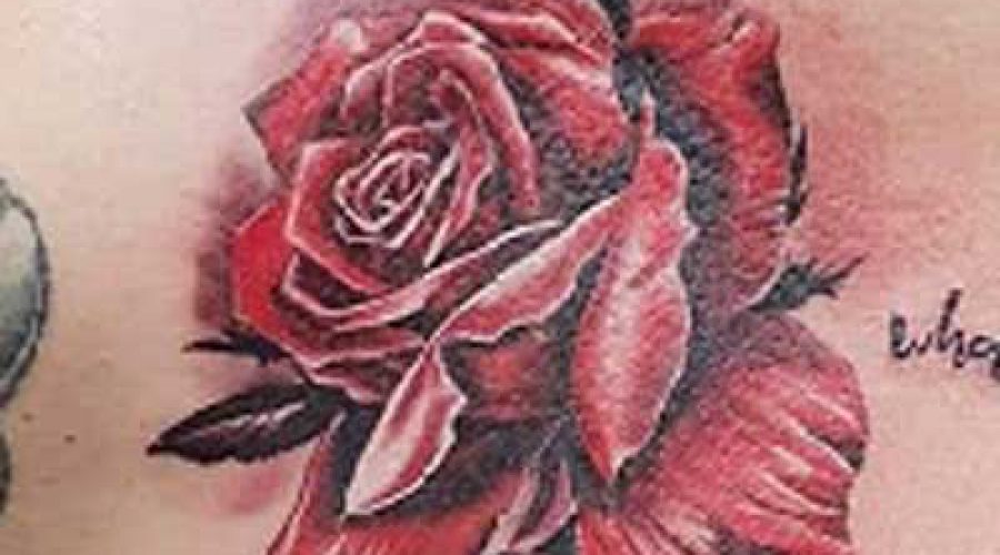 ורד אדומה מקועקעת