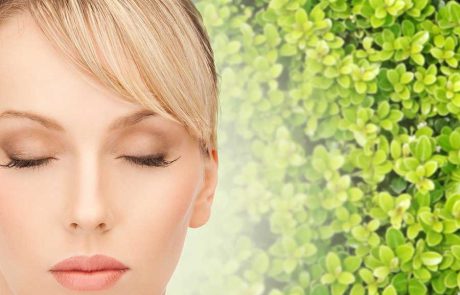 צמחים שעושים טוב לעור