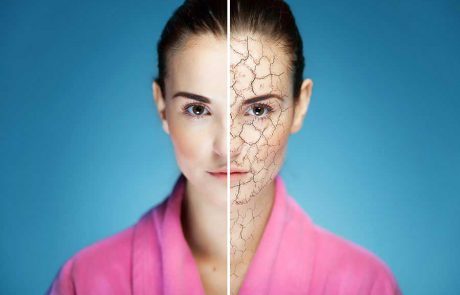 החיילים הנאמנים ביותר!