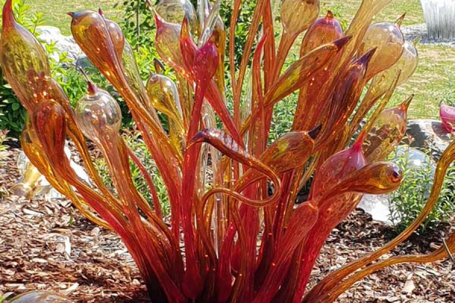 צמח עשוי מזכוכית מנופחת