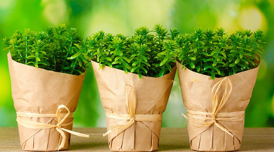 עיצוב פנים אריאלה הלר