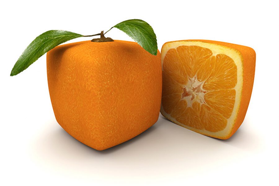 שני תפוזים מרובעים אחד חצוי