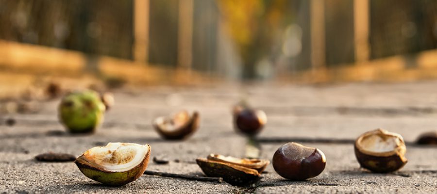 Depositphotos_86778590_Small