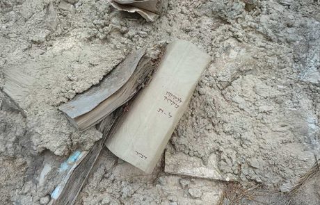 מצר-מייסר: Take 2 1972 / 2025 פתיחה: 15.11.2025, 12:00