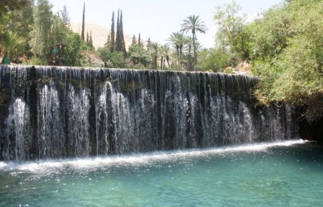 פסטיבל אביב – שבתות מרץ בגן השלושה סחנה