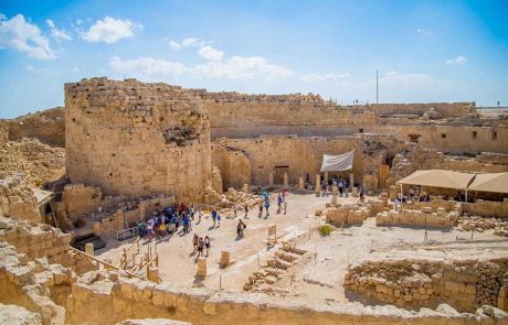 מהצפון ועד הדרום: פעילויות לסוכות בשמורות הטבע ובגנים הלאומיים