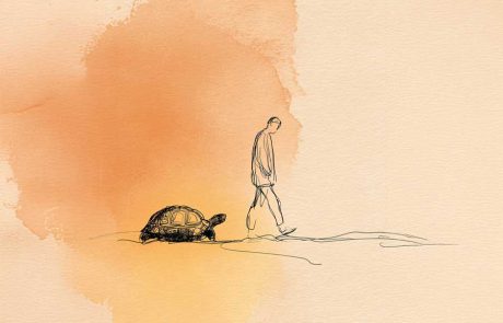 הנדסה רכה של שייכות