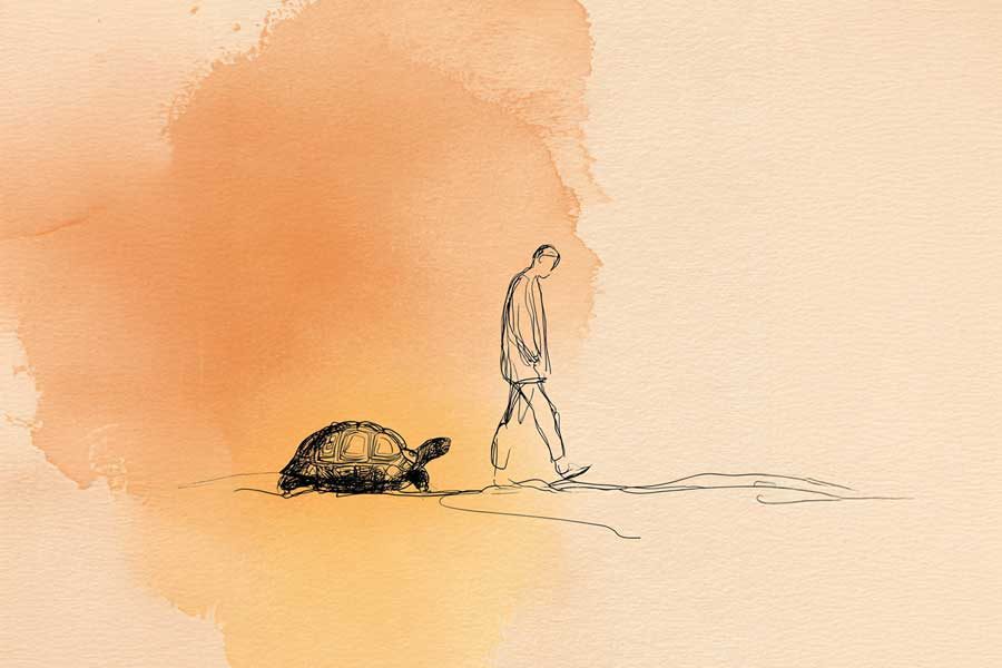 איש וצב עמיר ברדה