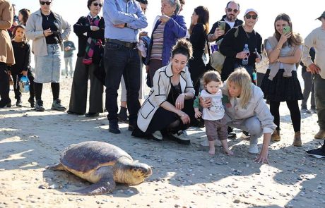 אור גדול לטבע: נפתח באופן רשמי המרכז הארצי להצלת צבי הים