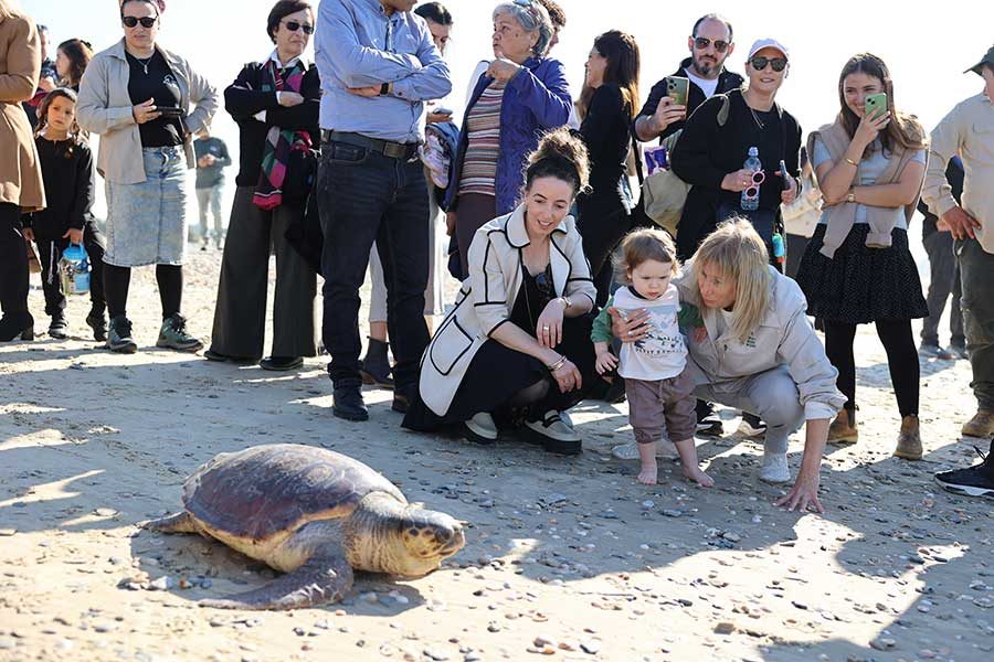 אנשים וצב ים