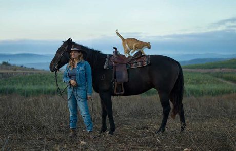 תערוכת אמנות חדשה העוסקת בניסיון לחזור הביתה לצפון הארץ  אחרי המלחמה תפתח בגליל העליון:
