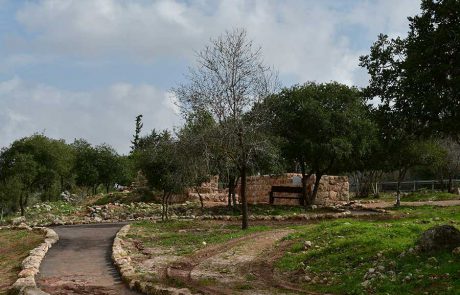 בעקבות גתות היין: לקראת חג השבועות קרן קימת לישראל חושפת מסלולים מומלצים המובילים לגתות עתיקות במיוחד