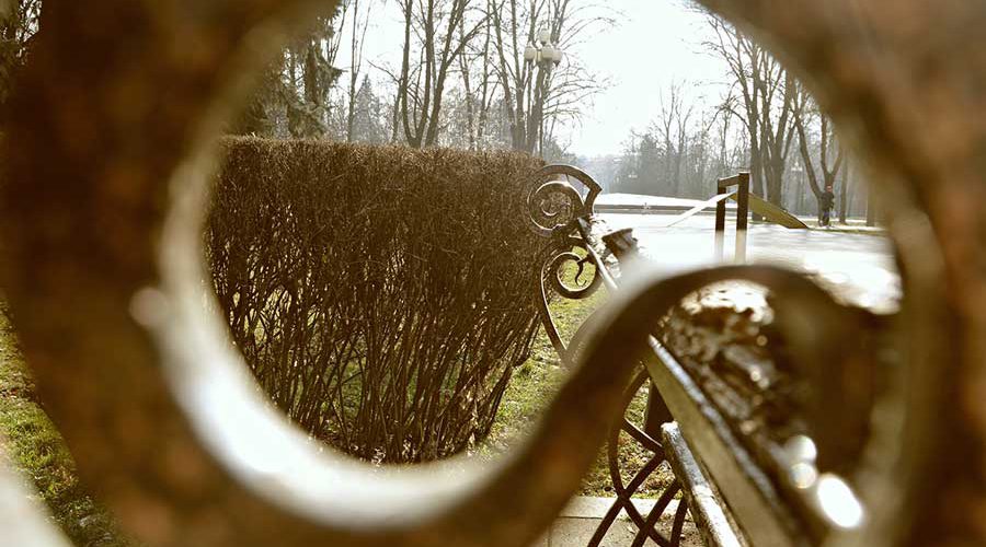 חפץ-אורית-רובנובסקי