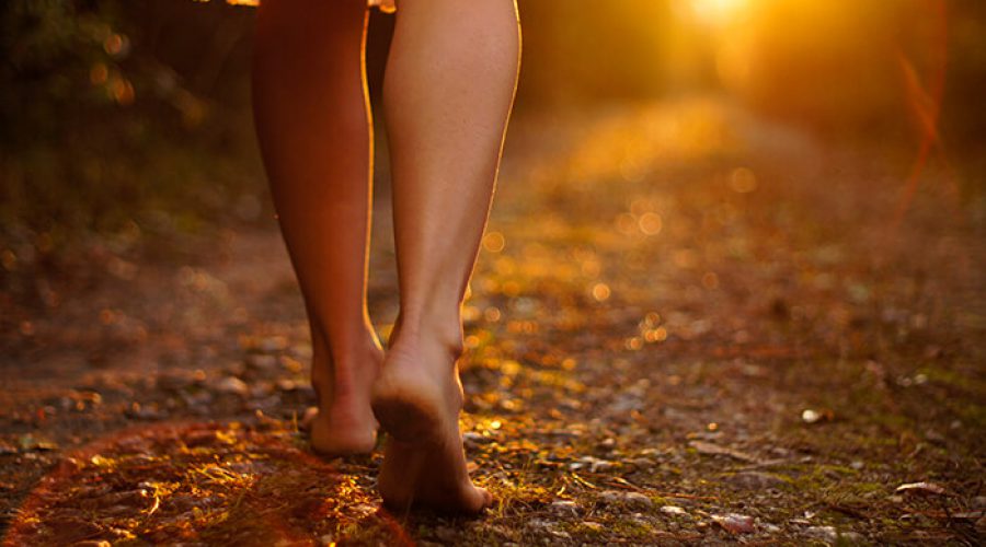 רגלי אישה יחפות בהליכה ביער