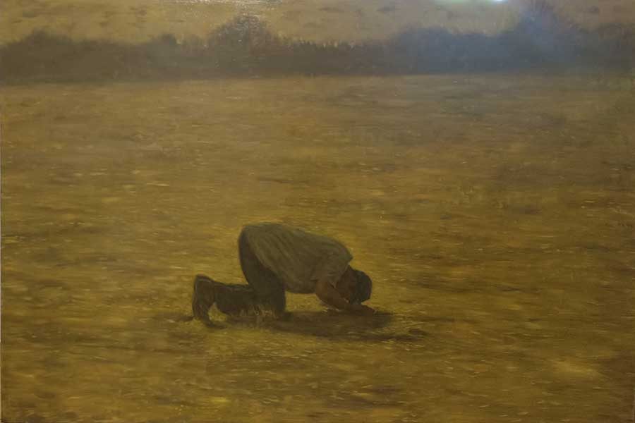 מריון-פוקס-מוחמד