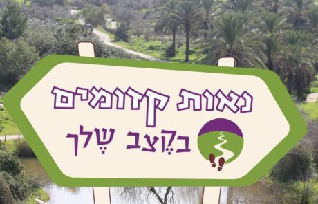 שבוע אחרון לסיורי הקיץ בנאות קדומים!