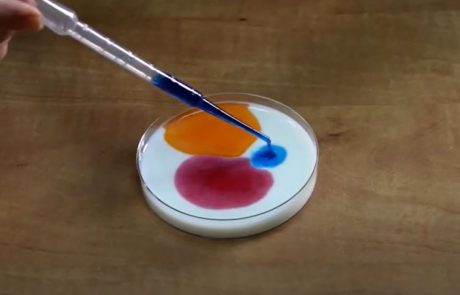 מה הקשר בין חלב, סבון כלים וצבעי מאכל?
