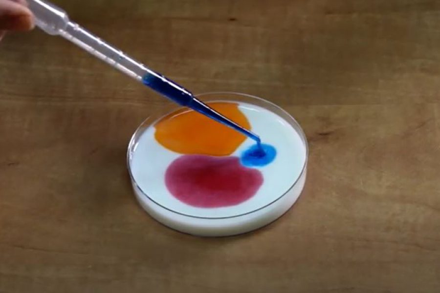 ניסוי לשבועות של הטכנודע על בסיס חלב וצבעי מאכל