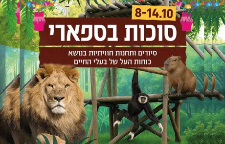 בסוכות הזה מבלים בספארי ולומדים על כוחות העל של בעלי החיים