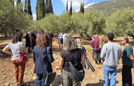 אחרי החגים: פסטיבל ימי ענף הזית מציין 30 שנות  פעילות ברחבי הגליל הגולן והעמקים