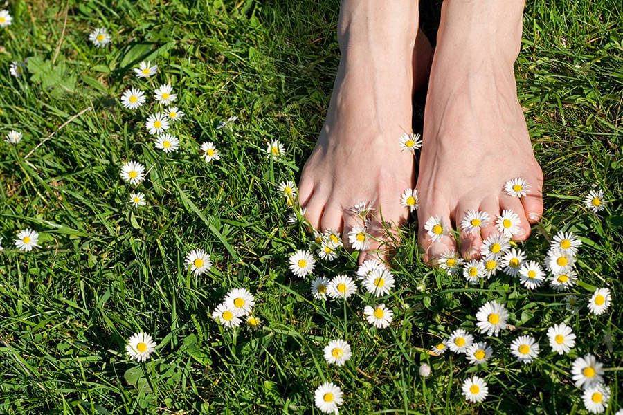 כפות רגליים על דשא