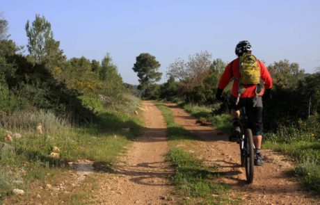 מצפון עד דרום: קק"ל מזמינה את הציבור הרחב לשלל אירועי פסח חינמיים לכל המשפחה במהלך חודש אפריל