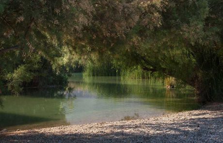 רשות הטבע והגנים – פעילויות לשבועיים הקרובים