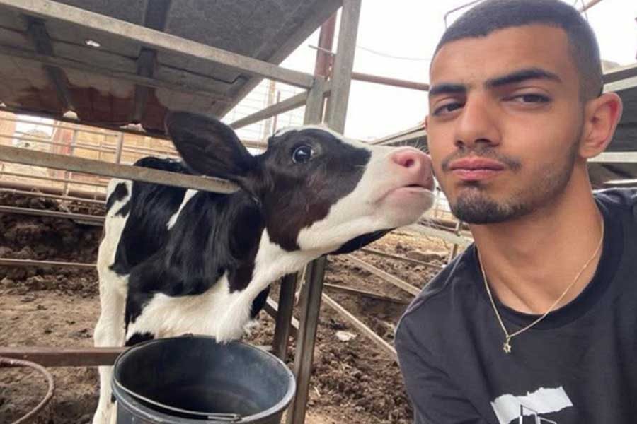 תמונה_טור_ניר_חג'בי